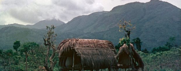 LE MONTANGE DEI LEONI