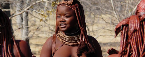 WILD NAMIBIA