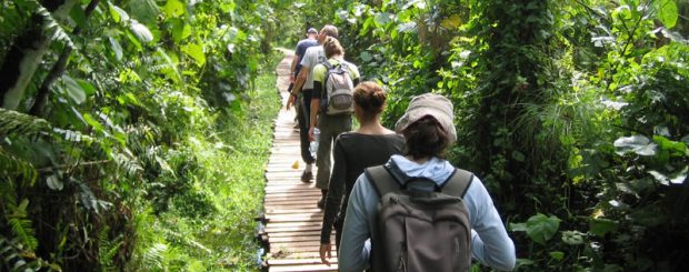 ESTENSIONE GORILLA TREKKING