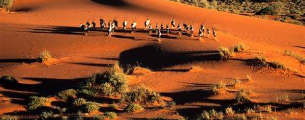 NAMIBIA RAINBOW