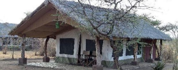 TANZANIA CASUAL E ZANZIBAR